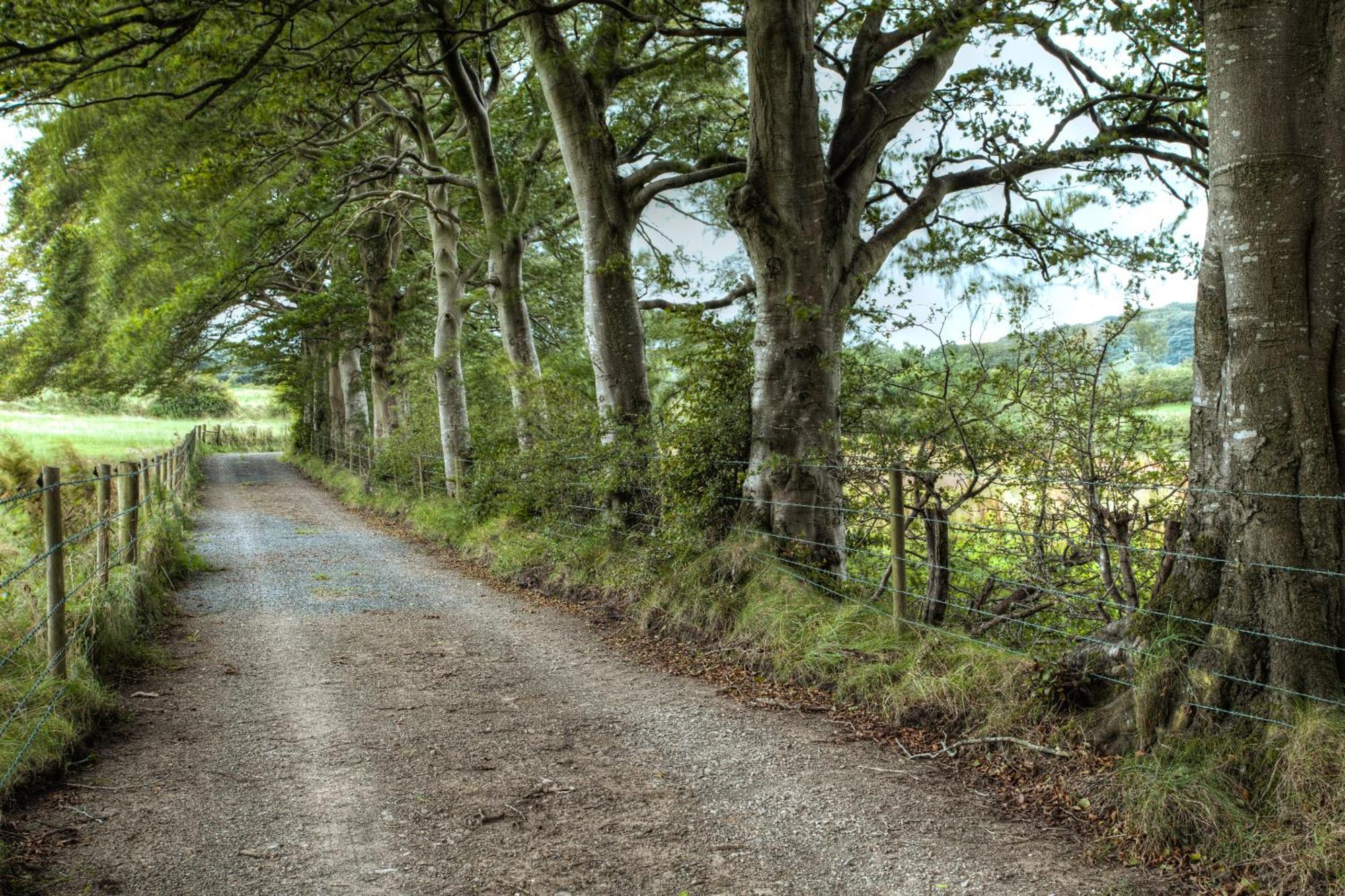 Ballylagan Organic Farm Straid  Ruang foto