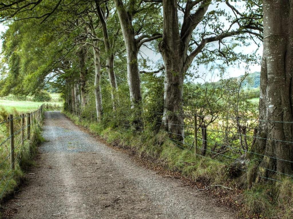 Ballylagan Organic Farm Straid  Bagian luar foto