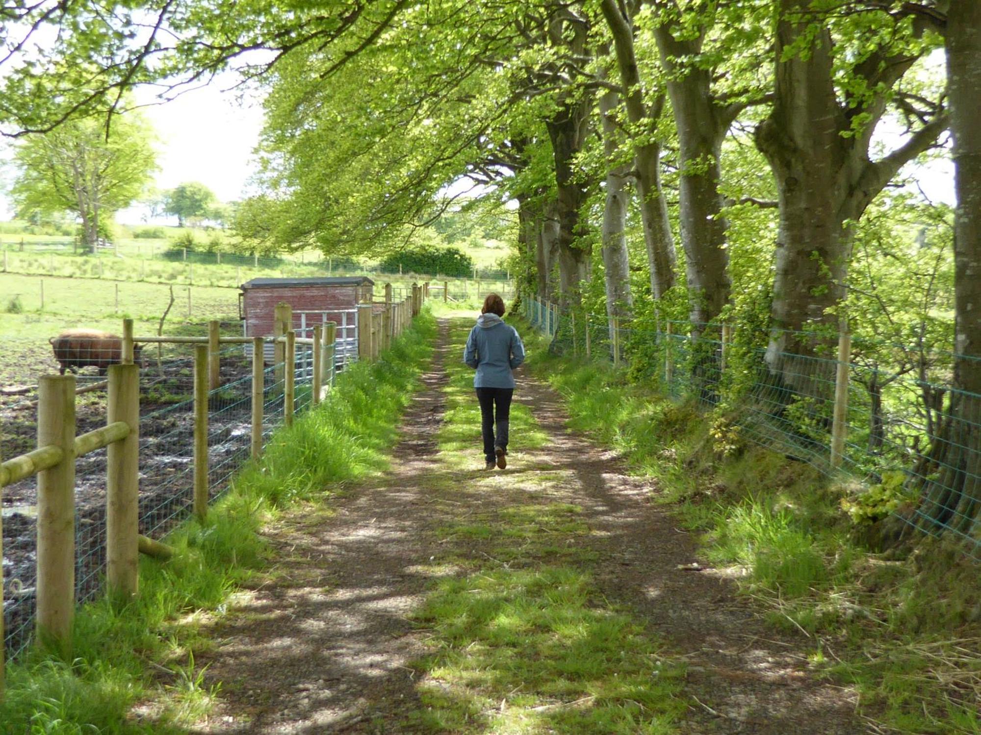 Ballylagan Organic Farm Straid  Ruang foto